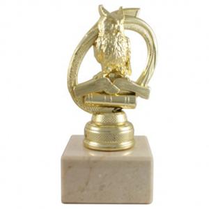 Индивидуална награда Силата на знанието Индивидуална награда Силата на знанието