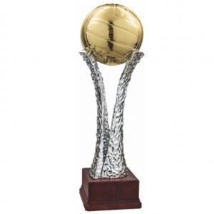Трофей Волейбол Трофей Волейбол