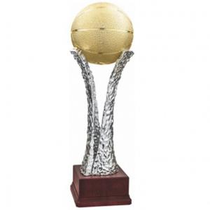 Приз за баскетбол Приз за баскетбол