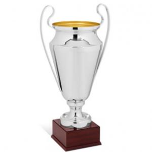 Сребърен приз (среден) Сребърен приз (среден)