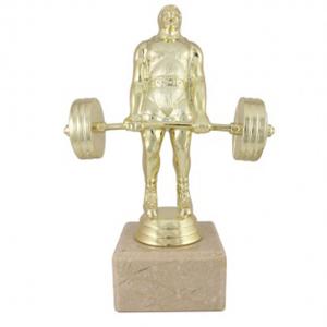 Отличие силов трибой Отличие силов трибой