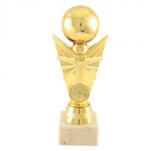 Футболна награда Футболна награда