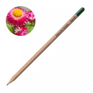 Молив със семена - Безсмъртниче Молив със семена - Безсмъртниче