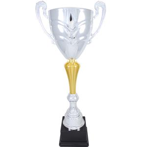Сребърен трофей (среден)